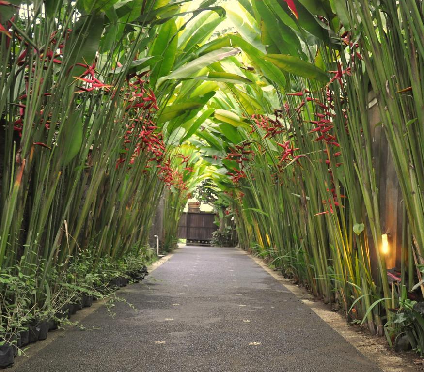 Kubudiuma Villas Bali Canggu Dış mekan fotoğraf
