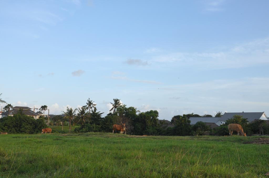 Kubudiuma Villas Bali Canggu Dış mekan fotoğraf